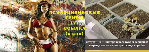 spice Балахна